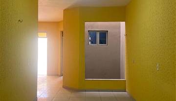 WhatsApp Image 2026-02-04 at 08.18.50.jpeg